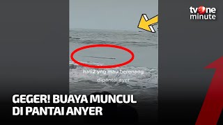 VIRAL! Buaya Muncul di Pantai Anyer, Wisatawan Panik | tvOne Minute