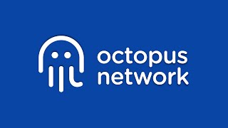 Octopus Network explained in less than 2 minutes