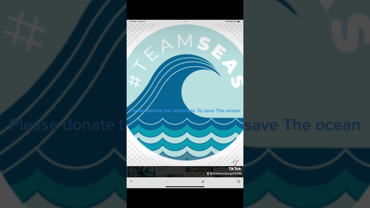 Pls donate too team seas to save the ocean 🌊