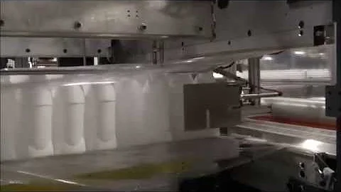 AIS Container Handling / Film bagger dual lane infeed