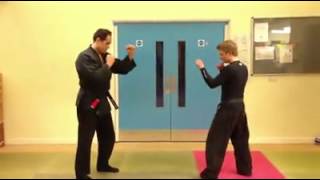 Bujinkan Yeo Dojo Hicho No Kata in MMA.mp4