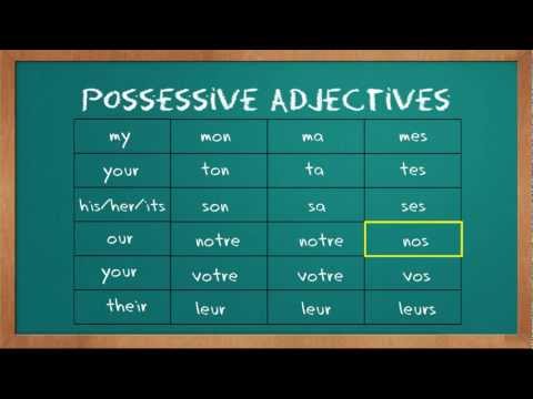 French Possessive Adjectives Chart