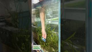 CLEANING GLASS