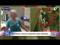 Comas: golpean a adulta mayor para robarle