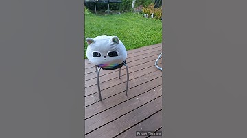 Which squishmallow flip was better?  #squishmallows #fox #raccoon #flipchallenge #liinumallows