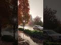 Heavy Rain on an Autumn Street 🍂🌧️ Relaxing Rain & Traffic Sounds #shorts