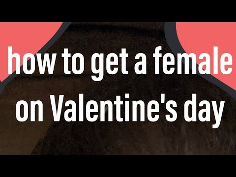 How to get a female on Valentine's day - YouTube