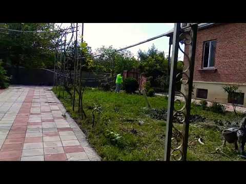 ჩვენი პროექტები