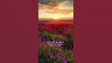 القرآن الكريم #اكسبلور #المصحف #لايك