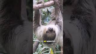 5 Animal Facts You Wont Believe Are Real