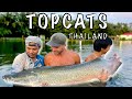 Catching big fish in thailand   topcats fishing resort thailand 