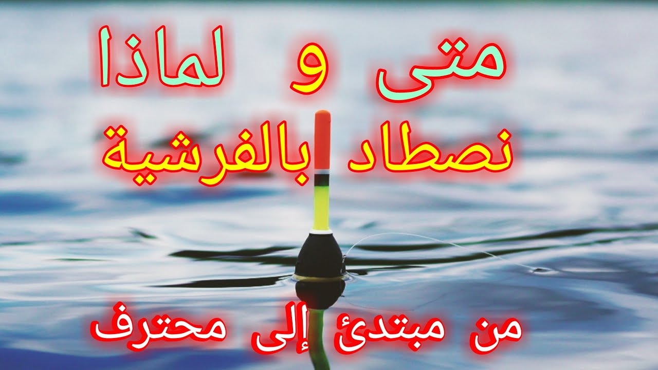 الصيد بالفرشية ، متى و لماذا نستعمل الفرشية أثناء صيد الاسماك .