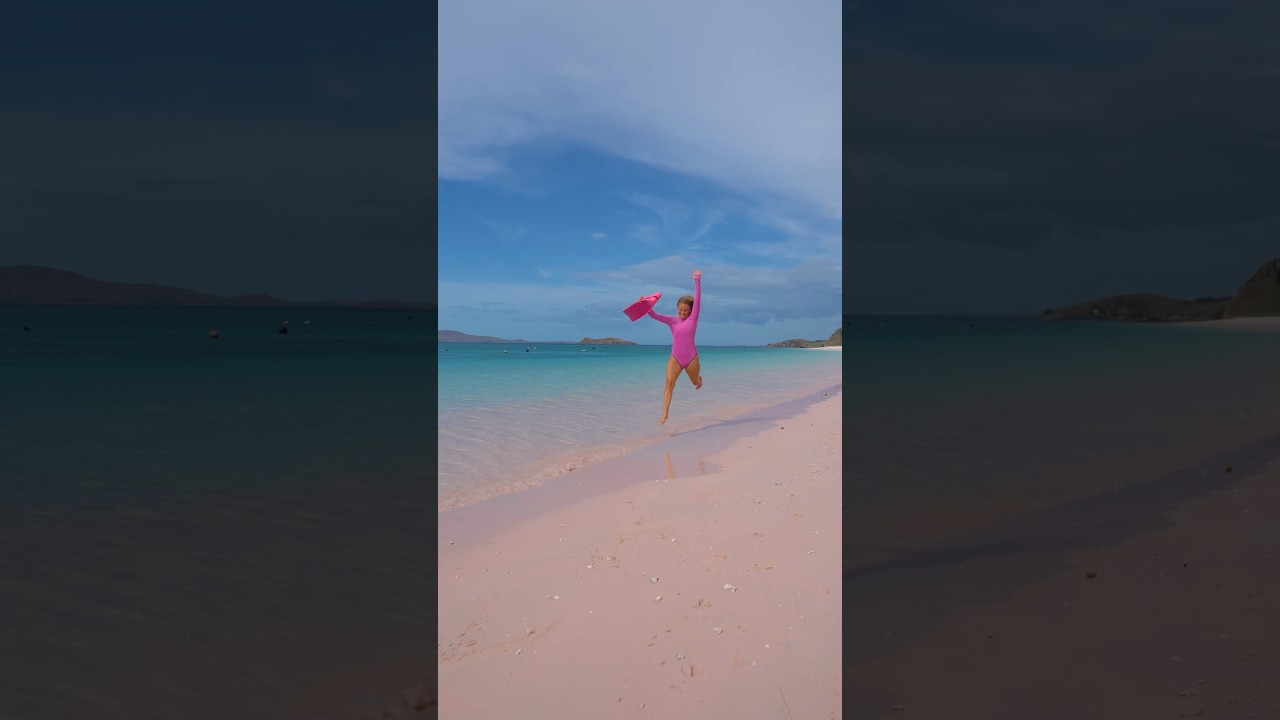 РОЗЫГРЫШ: Дайвинг-тур на Комодо с проживанием на борту судна