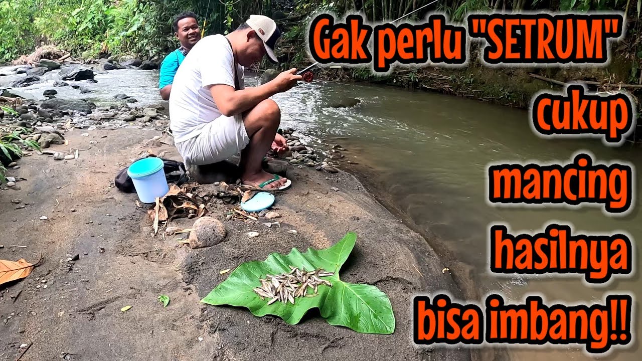 GAK PERLU SETRUM ‼️ CUKUP MANCING BISA IMBANG HASILNYA 