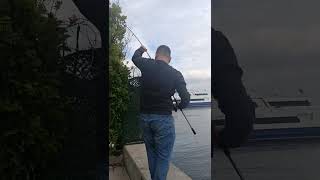 Lidaki #fishing #fish #deniz #beach #art #anime #asmr #ai #bollywood #comedy #cute #cat #cooking