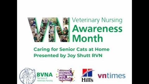 Joy Shutt - "Caring for senior cats at home"