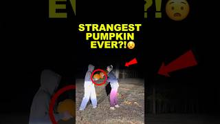 Creepy Smashed Pumpkins