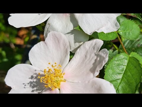 Wochenende • Grüße