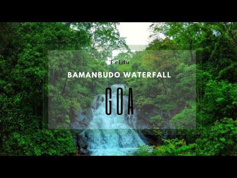 CHOL BAMBANBUDVIAR YA | BAMANBUDO WATERFALL | GOA