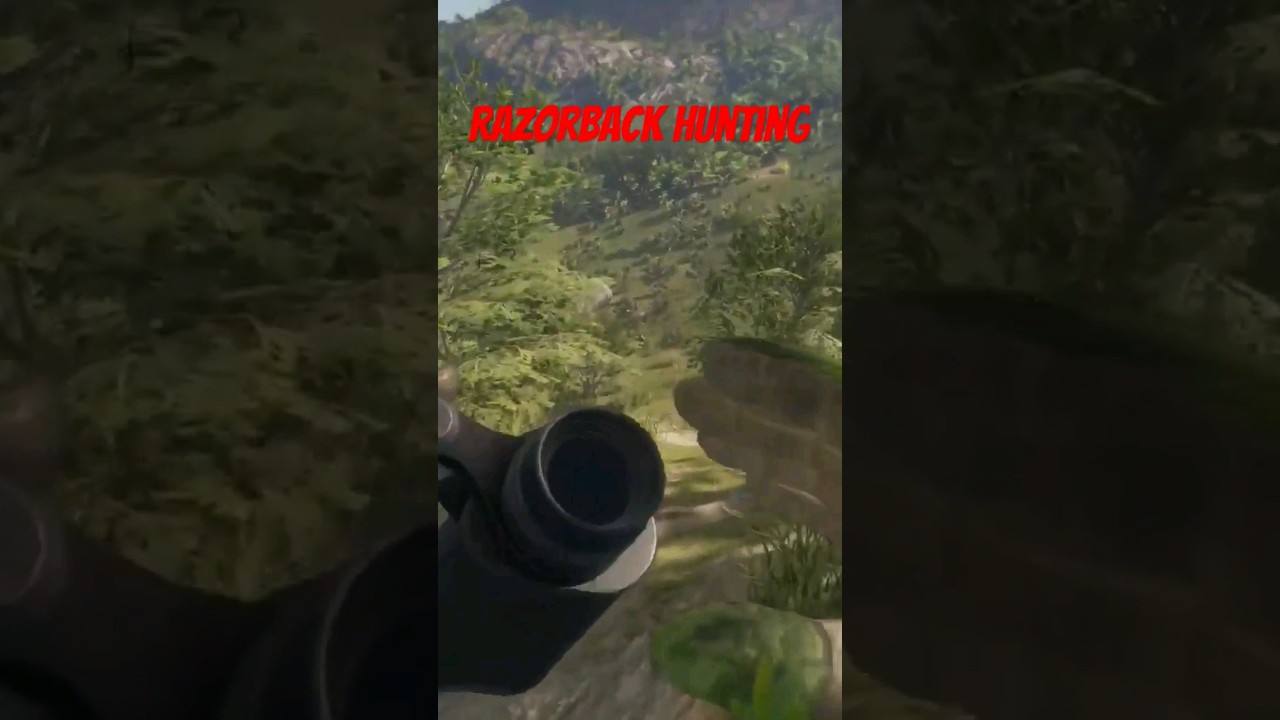 RAZORBACK HUNTING IN THE WILD! 