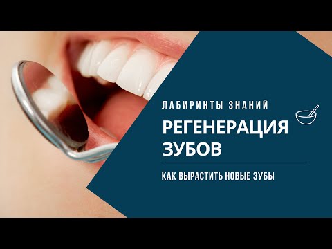 Сенсация - Зубы можно восстанавливать и выращивать