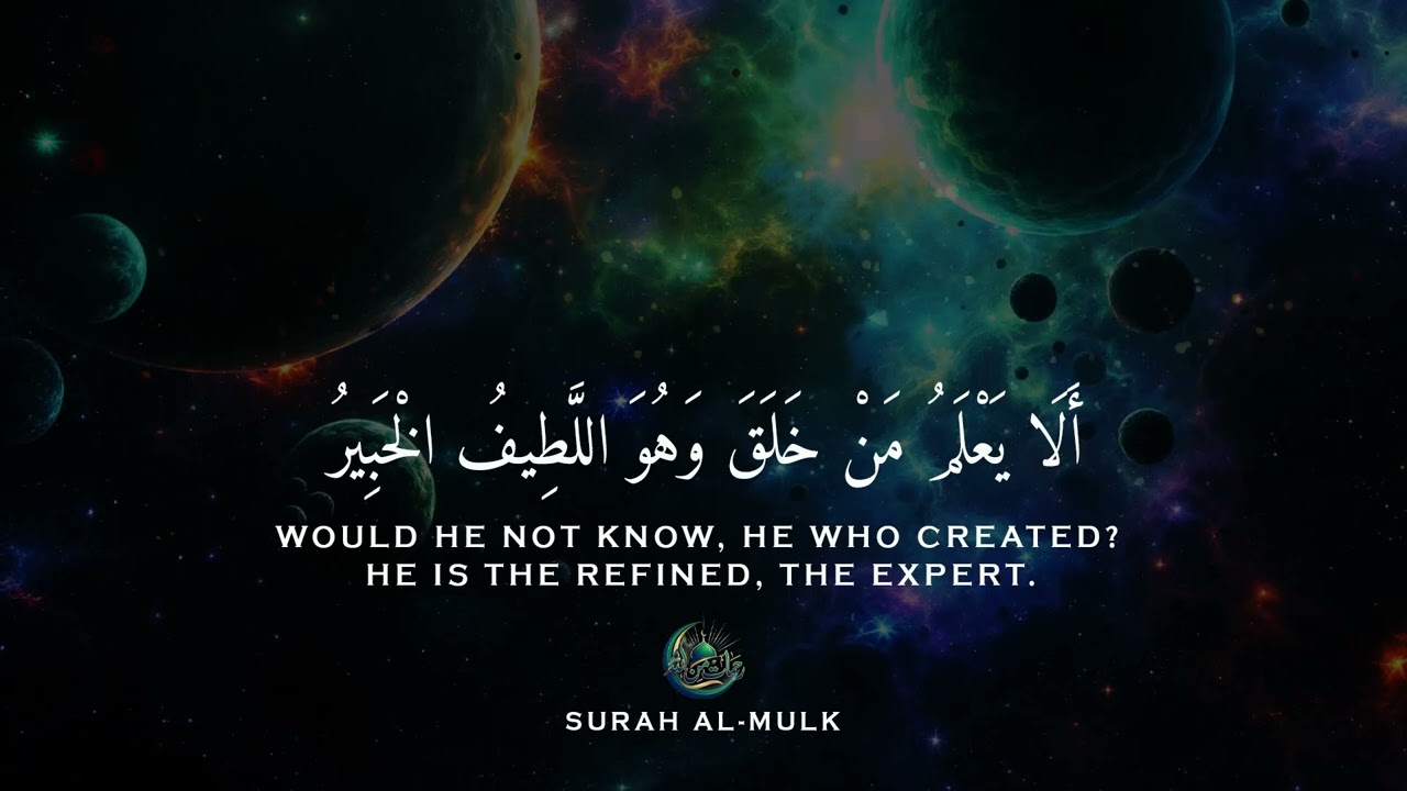 تلاوة هادئة تريح القلب والعقل 🤎😴 | ساعة كاملة🕛 | Calm Quran Recitation