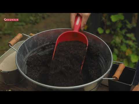 Video: Njega biljaka duhova - kako uzgajati biljku duha Graptopetalum