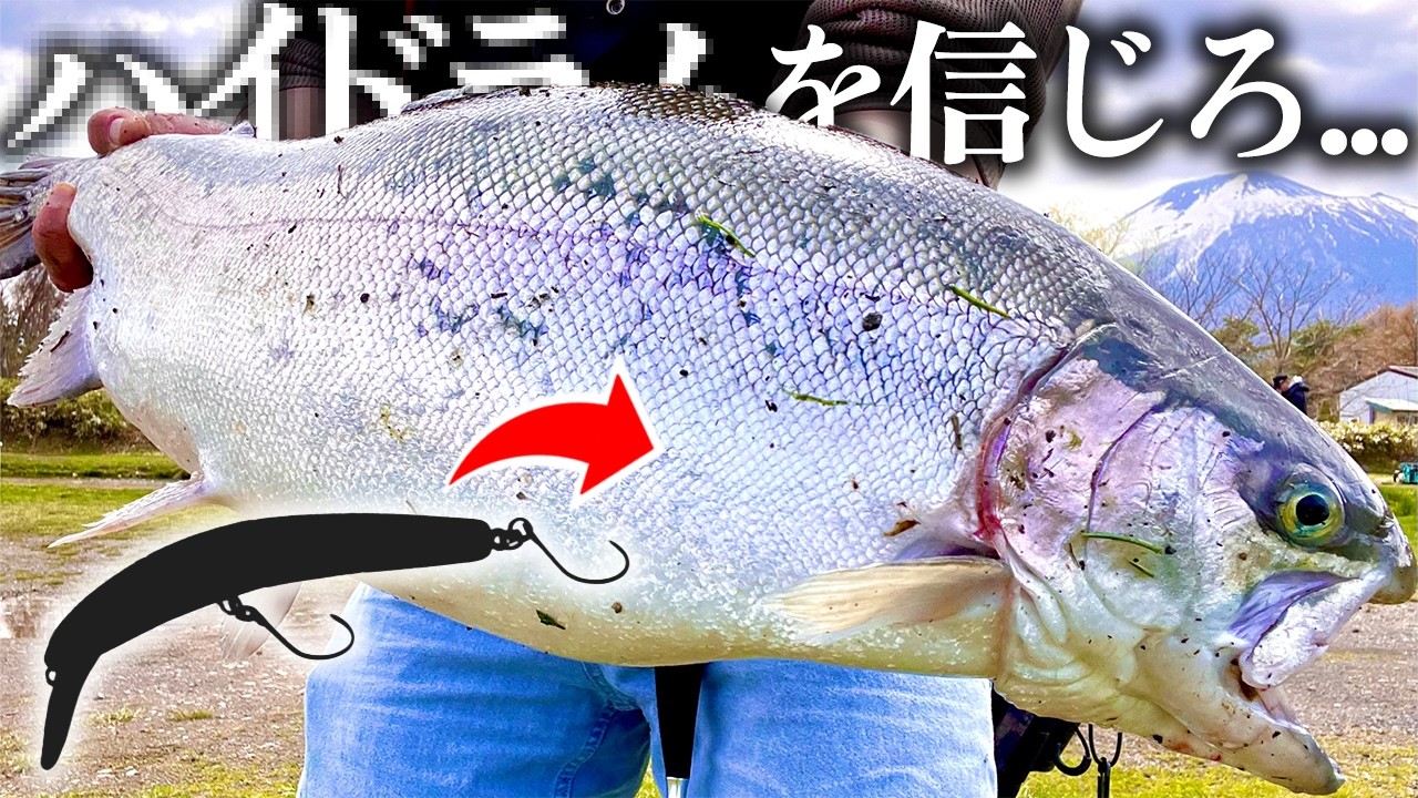 管釣りで巨大サーモン釣るならやっぱりこのルアーが最強かもしれません...【エリアトラウト】【管理釣り場】