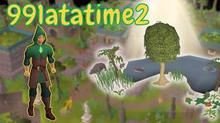 Choosing The Next Skill - 991atatime2 - HCIM - #ep6