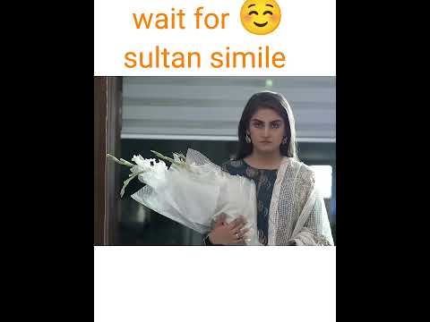 Wait for sultan smile ☺️☺️ #danishtamoor #deewangi #hibabukhari #ytshorts #pakistanidrama