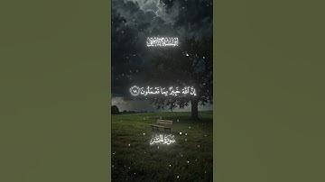 #قرآن #تلاوات #اسلام_صبحي #اكسبلور #حالات_واتس #راحة_نفسية #quran #explore #fyp #fypシ゚viral #foryou