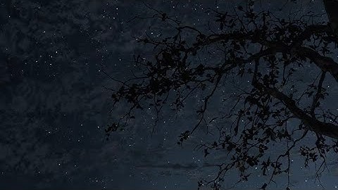 سورة الملك/ القارئ معاذ صيام / مكتوبة 