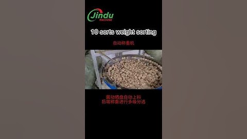 Weight Grader Nuts grading and weight sorting machine #machine  #sorting