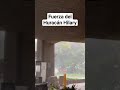 Videos llegada del Huracán Hilary #huracan #mexicano #estadosunidos