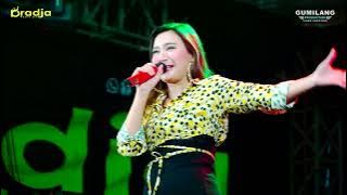 D'RADJA MUSIC - BEBAS EVIS RENATA - HAPPY PARTY REMBO TEAM KRIKILAN SUMBER REMBANG