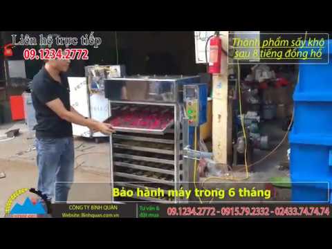 Máy sấy inox 10 khay gia đình - Sấy hoa quả khô cực nhanh, màu sắc đẹp mắt