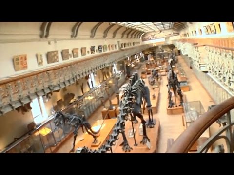 Video: Museo de Historia de Paris