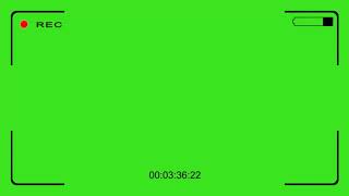 Видеокамера Rec. \\ Футаж хромакей на зеленом фоне. \\ Footage on green