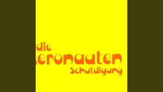 Schuldigung (SingleVersion)