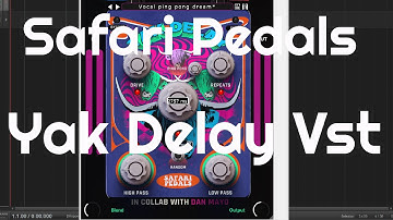 Yak Delay by Safari Pedals (No Talking)