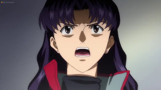 Amv - Empty Walls