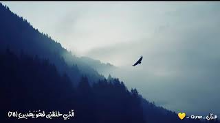 ناصر القطامي " الذي خلقني فهو يهدين " 💛🎧
