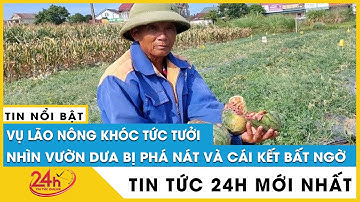 Cụ ông nằm khóc giữa vườn dưa làm đơn xin tha cho 5 đối tượng phá hoại: “Để các cháu thi tốt nghiệp”