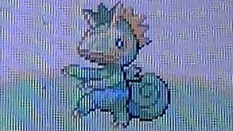 LIVE!! Shiny Kecleon After 3,460 Soft Resets!!-Sapphire #2