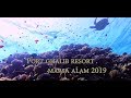 Port Ghalib Resort, Marsa Alam [Egypt - October 2019]