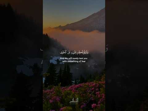 Quran Recitation Surah Al Baqarah Ayat 155 156 Shorts Quran Trending 