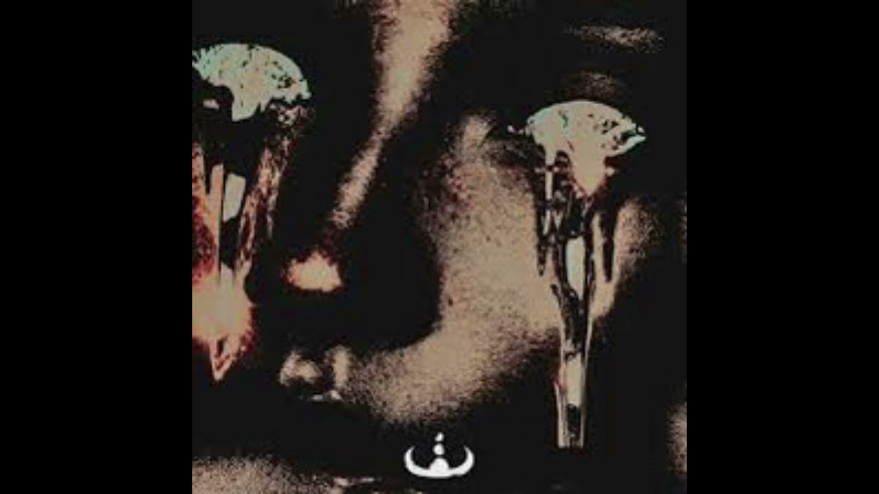 WEVLTH-ASKING ALEXANDRIA - DEAR INSANITY(WEVLTH-REMIX)