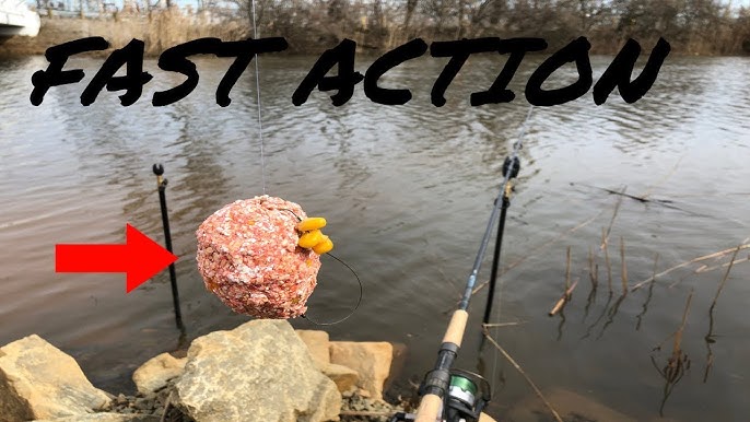 How Do You Use Carp Method Feeder Spring Cage With Pack Bait? 