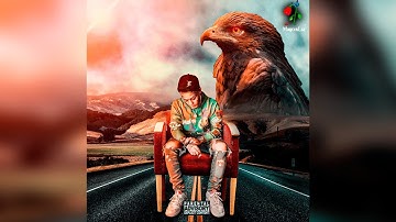 Lil Skies - ft. Brygreatah (NEW SNIPPET)