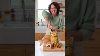 Real Cat Freaks Out When She Cuts A Cat Cake 2